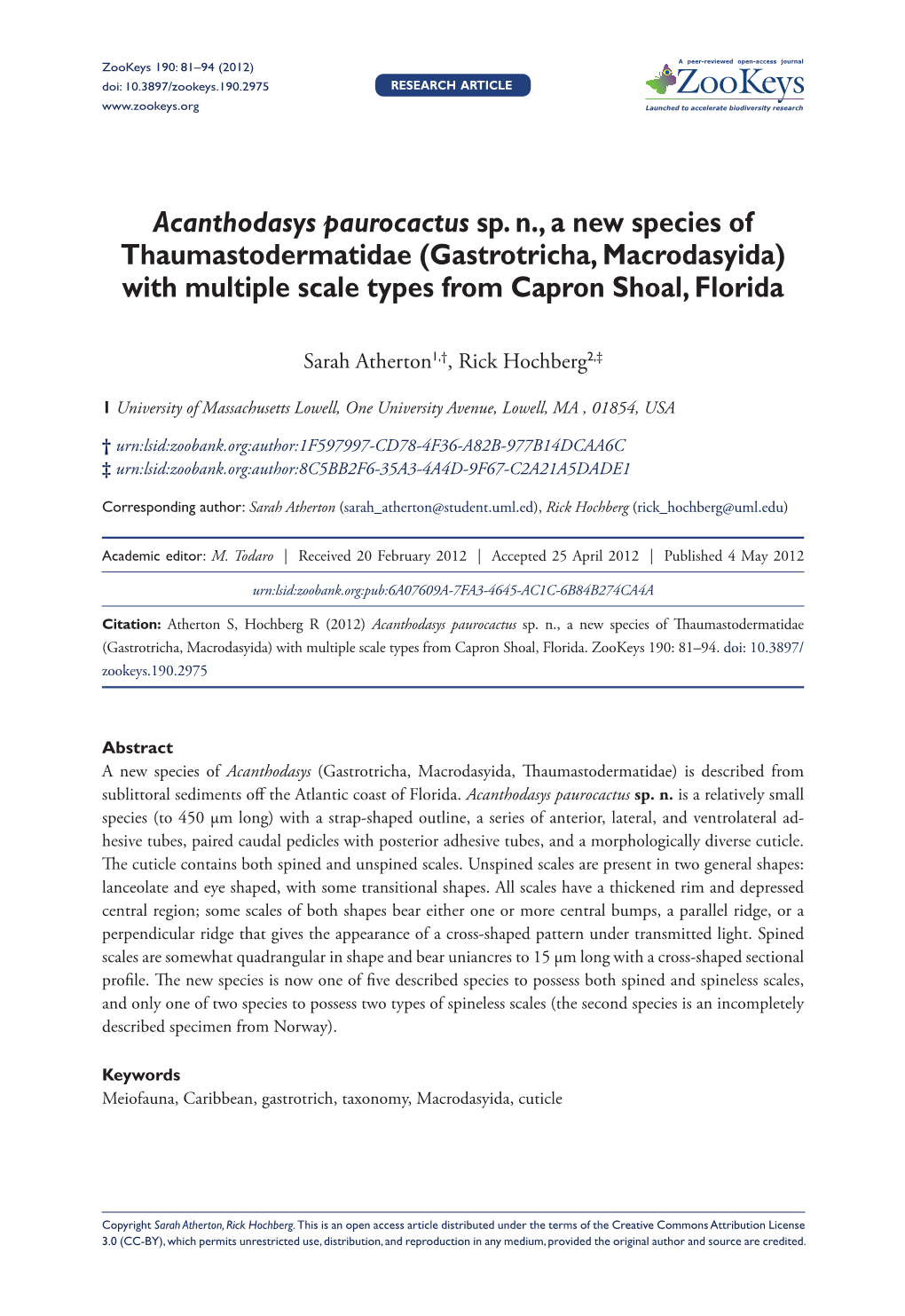 Acanthodasys Paurocactus Sp. N., a New Species of Thaumastodermatidae (Gastrotricha, Macrodasyida) with Multiple Scale Types from Capron Shoal, Florida