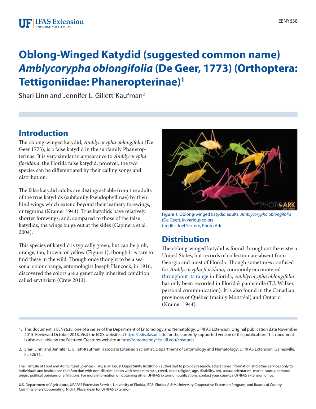 Oblong-Winged Katydid (Suggested Common Name) Amblycorypha Oblongifolia (De Geer, 1773) (Orthoptera: Tettigoniidae: Phaneropterinae)1 Shari Linn and Jennifer L