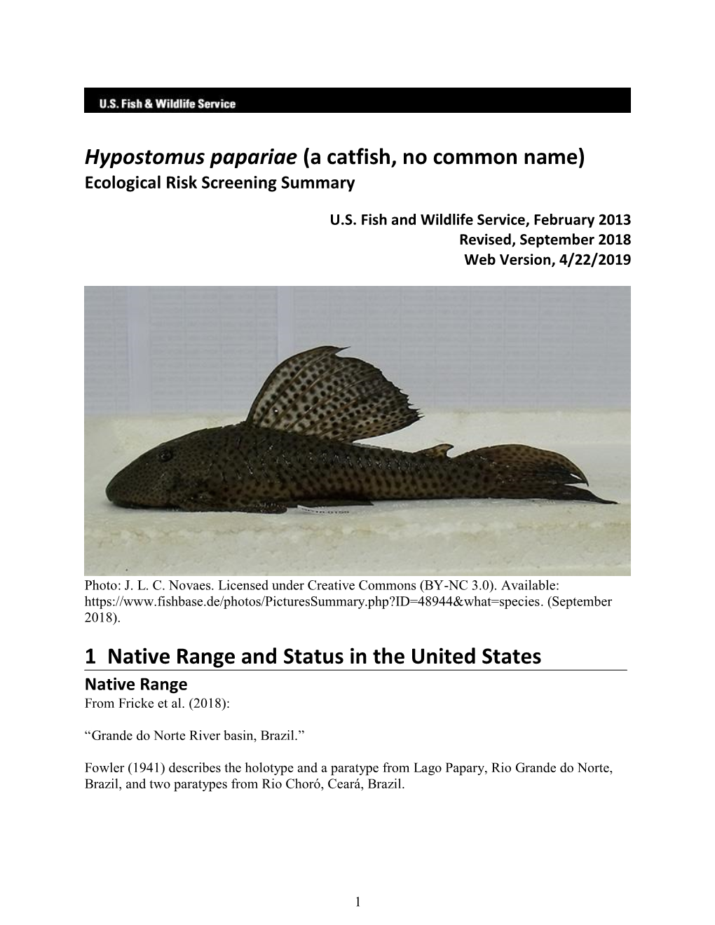 Hypostomus Papariae (A Catfish, No Common Name) Ecological Risk Screening Summary