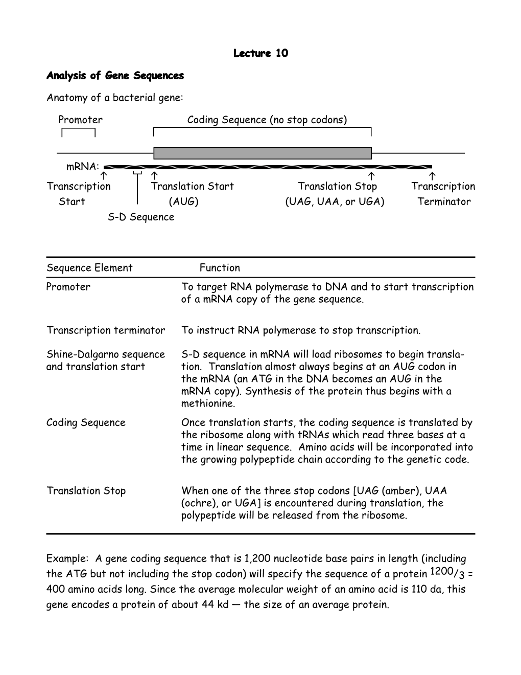 Genetics Lectures 1, 5-10'