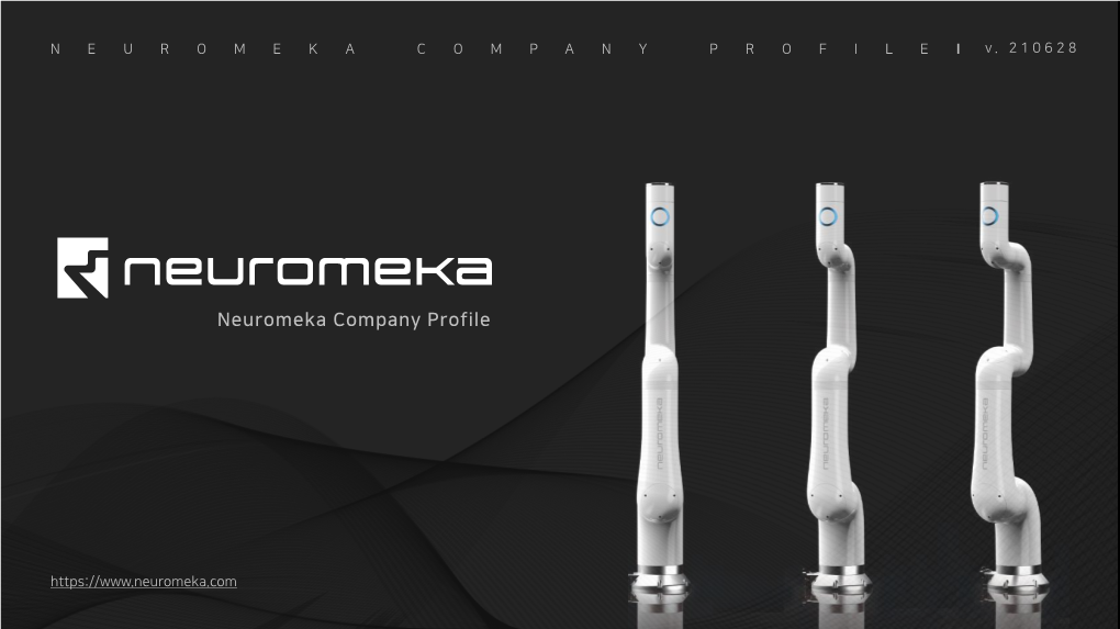 NEUROMEKA COMPANY PROFILE I V