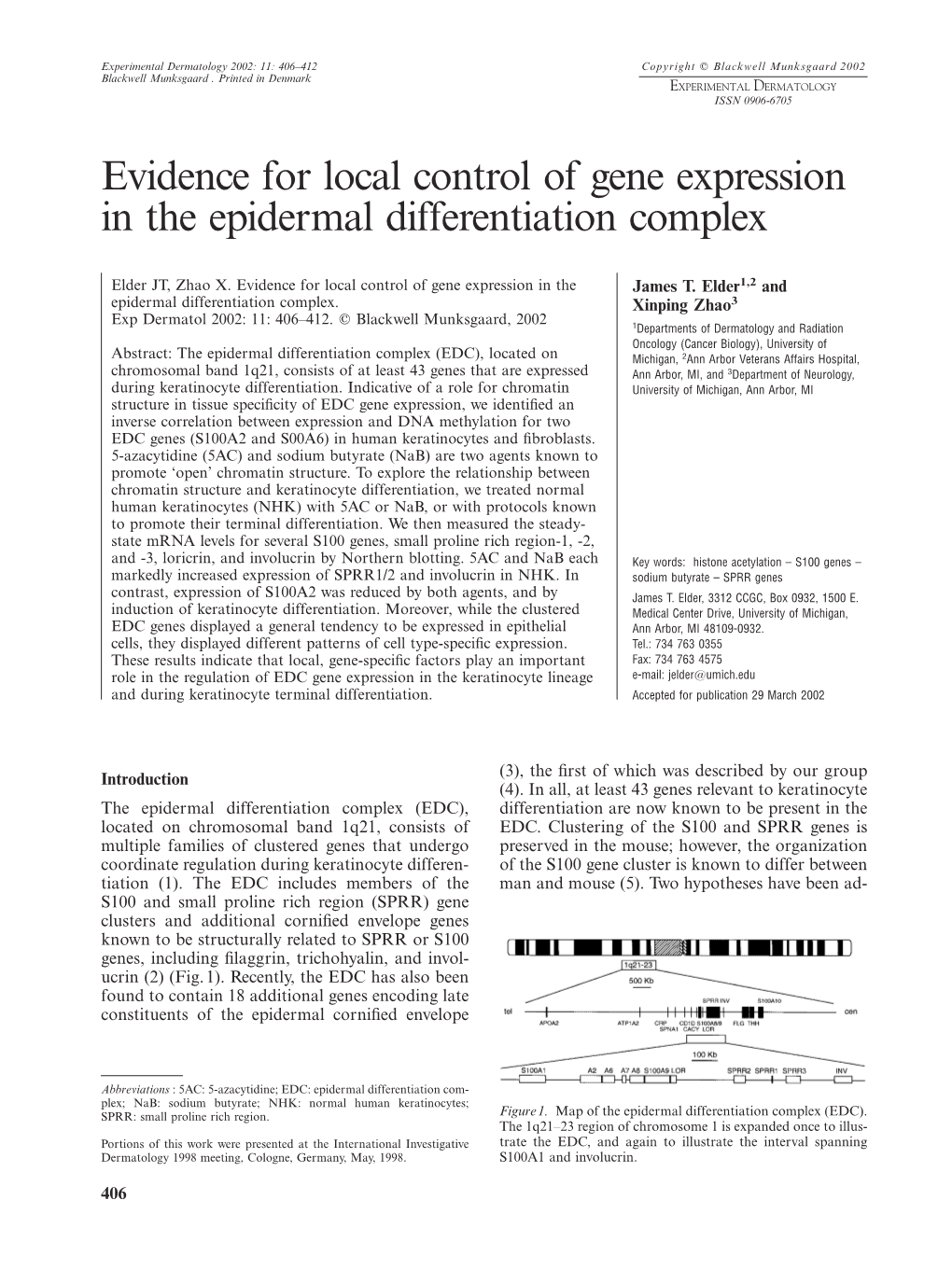 Evidence for Local Control of Gene Expression in the Epidermal Differentiation Complex