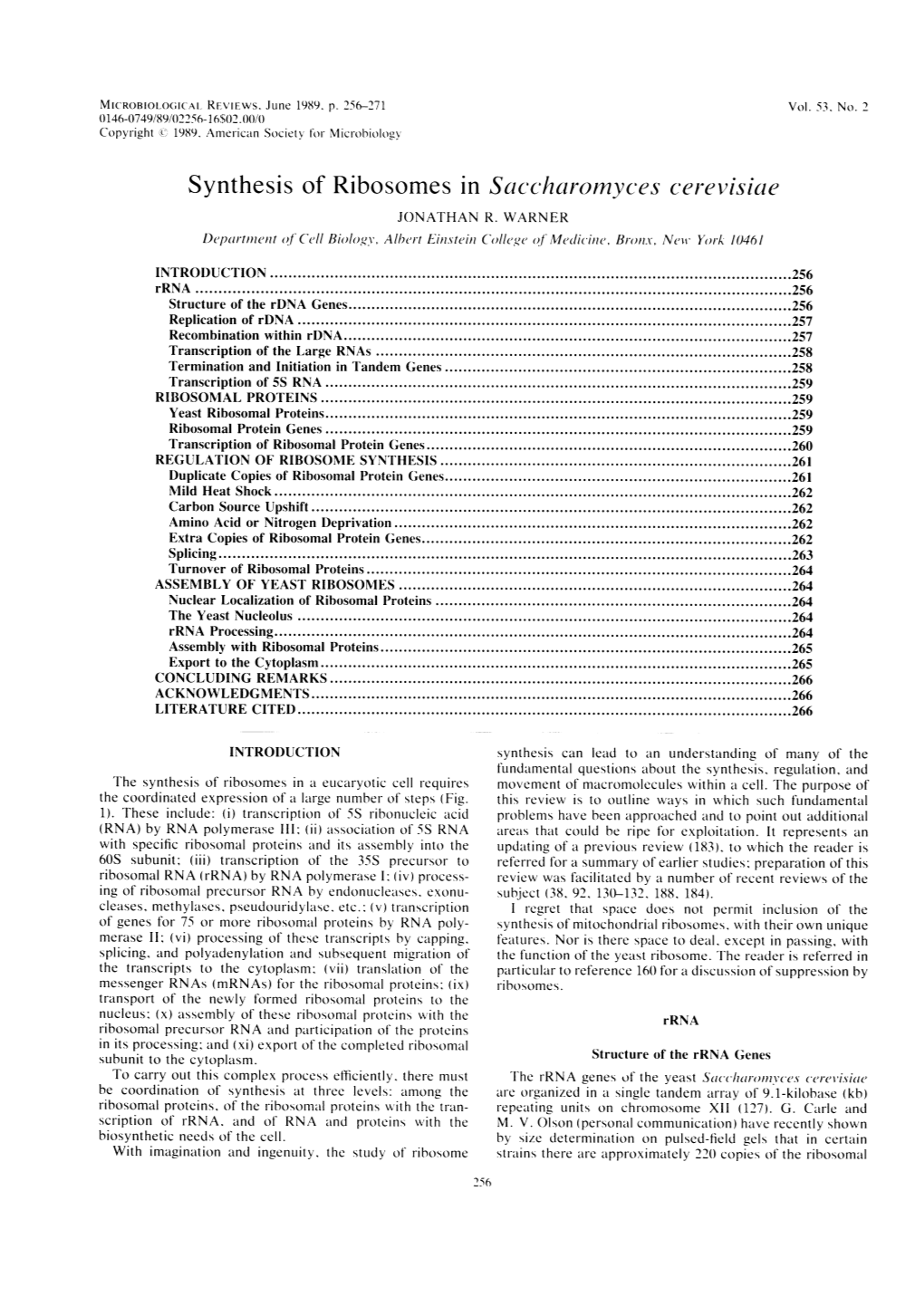 Synthesi's of Ri'bosomes I'n Sacc-Harornyces Cer-Evisiae