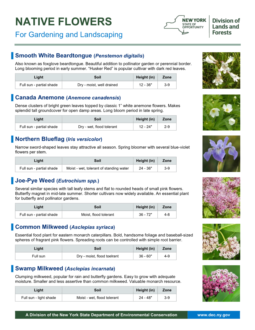 Native Plants for Gardening and Landscaping