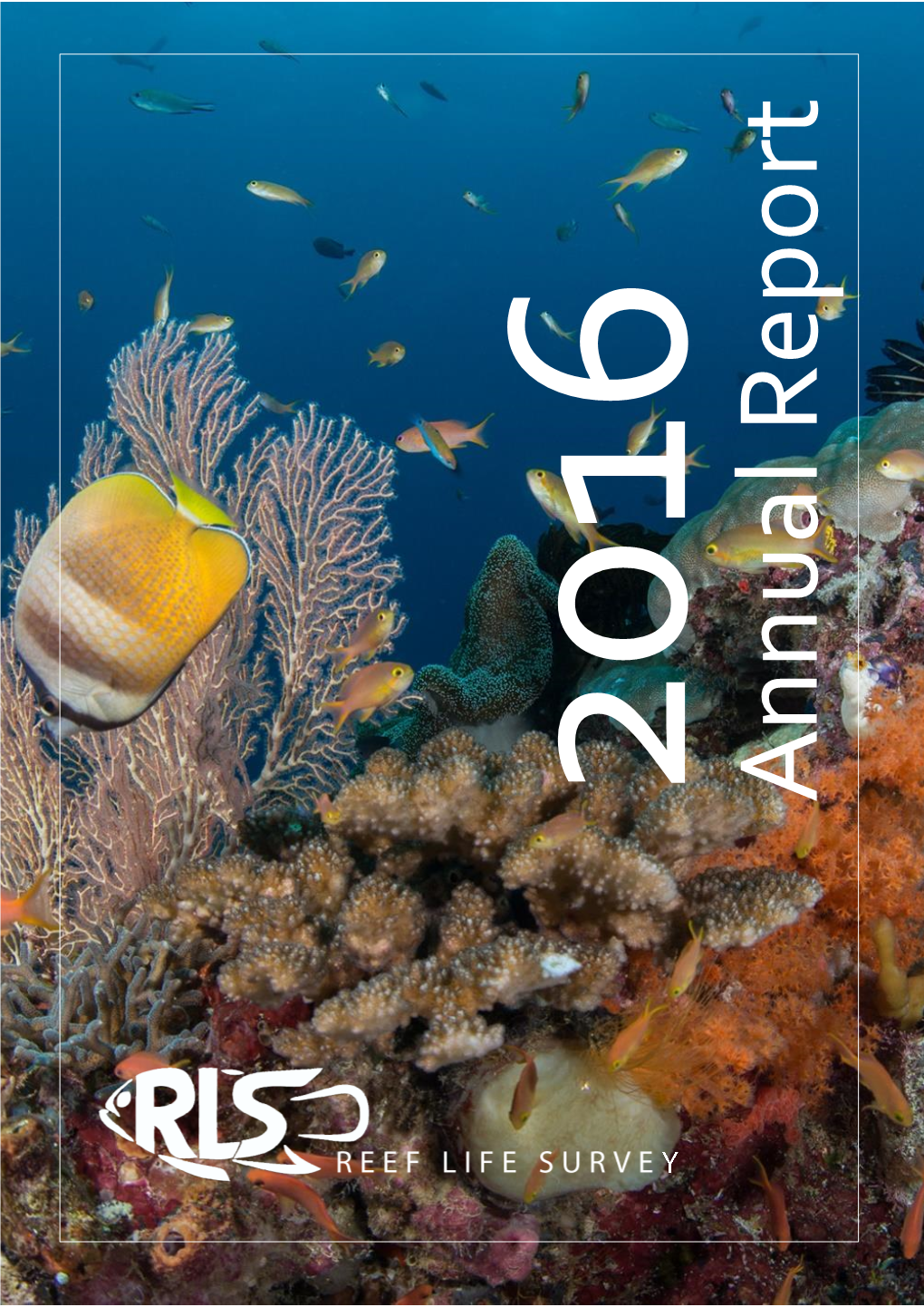 Download 2016 Annual Report