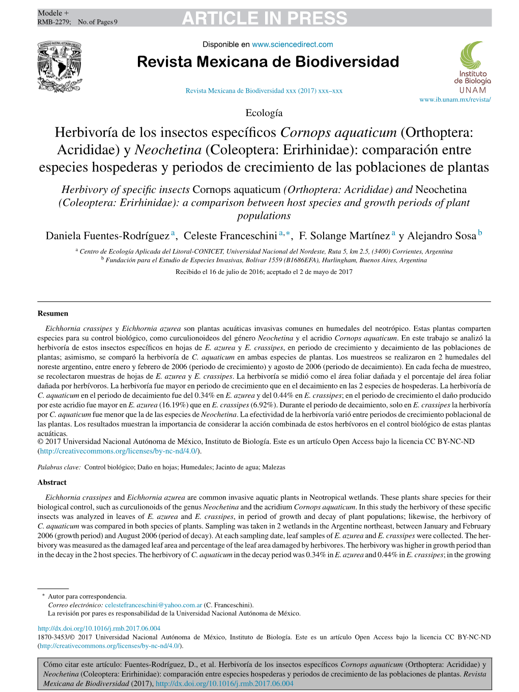 Herbivoría De Los Insectos Específicos Cornops Aquaticum