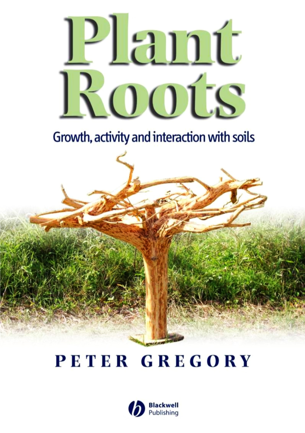 Plant Roots Growth, Activity and Interaction with Soils