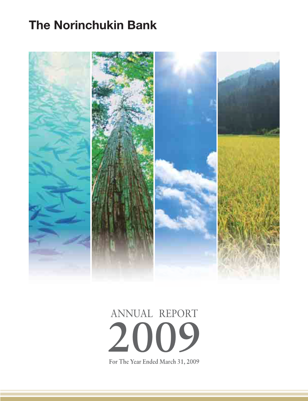 Annual Report 2009（2783KB）