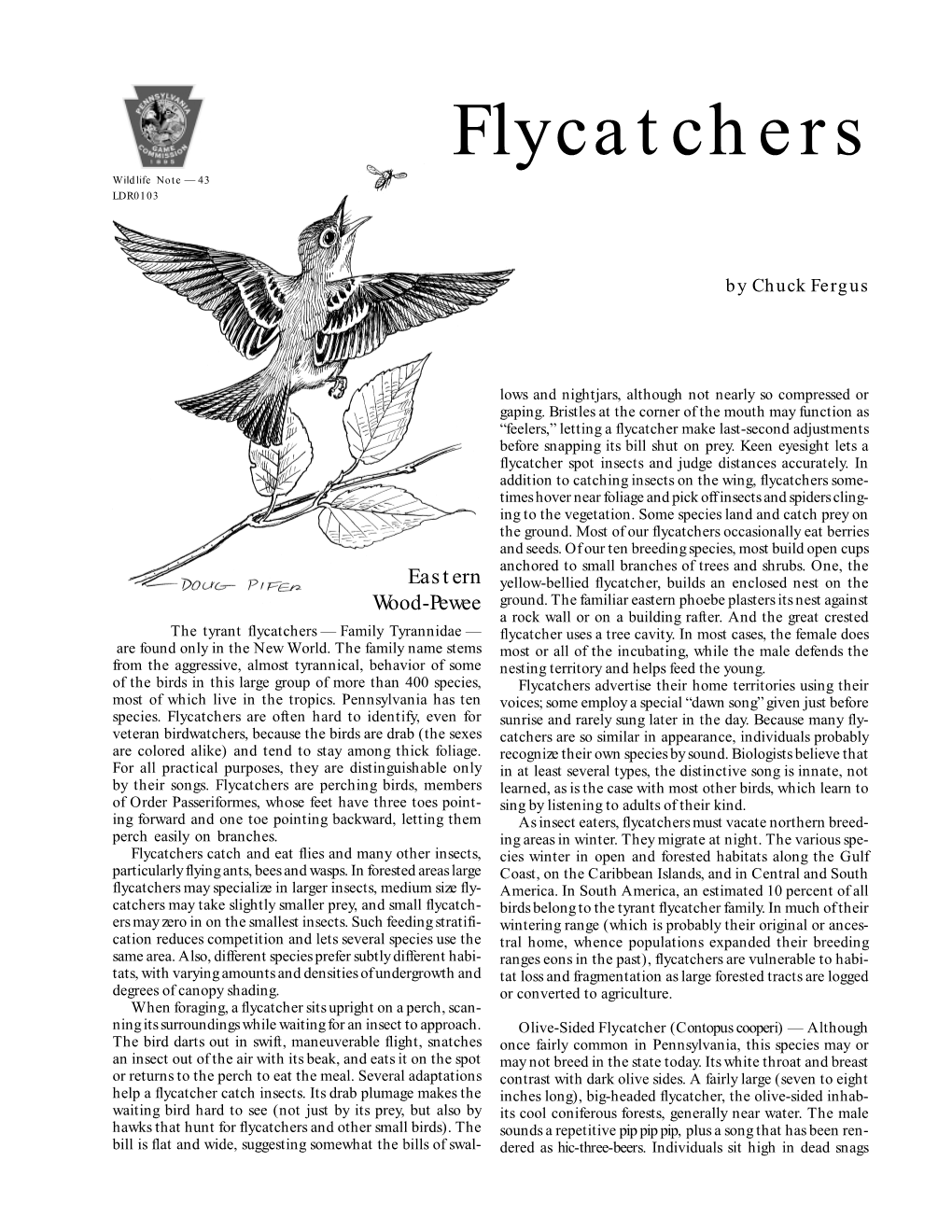 Flycatchers Wildlife Note — 43 LDR0103