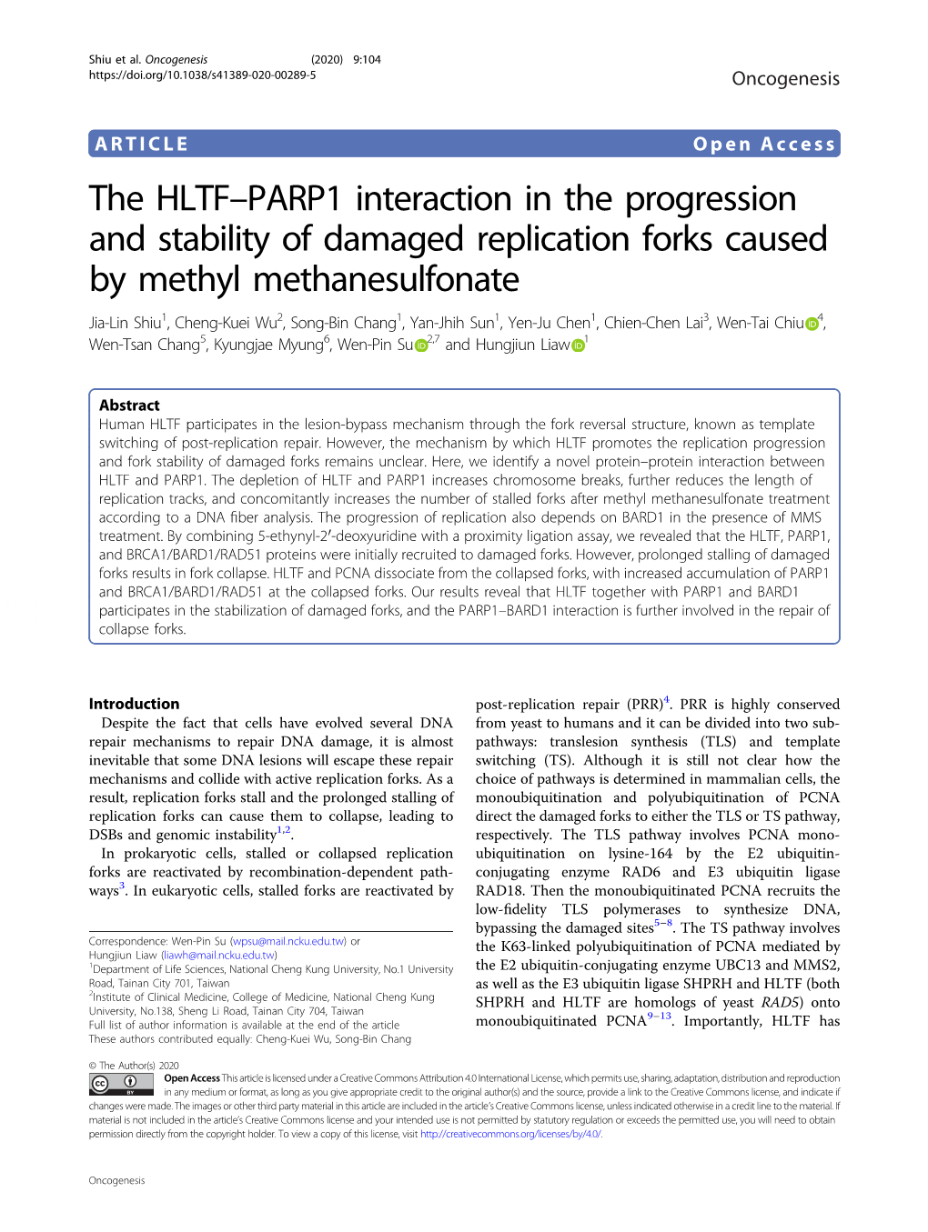 The HLTF–PARP1 Interaction in the Progression and Stability Of