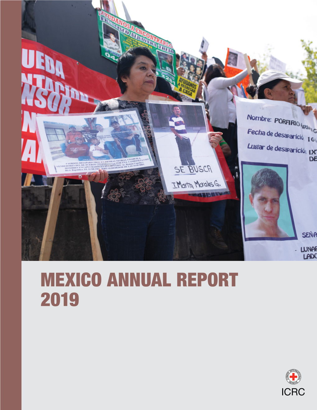 Mexico Annual Report 2019