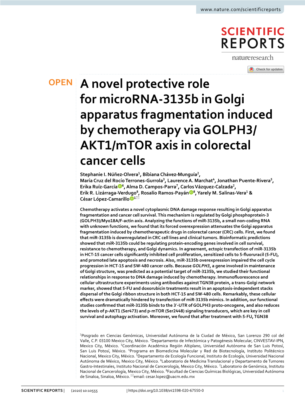 A Novel Protective Role for Microrna-3135B in Golgi