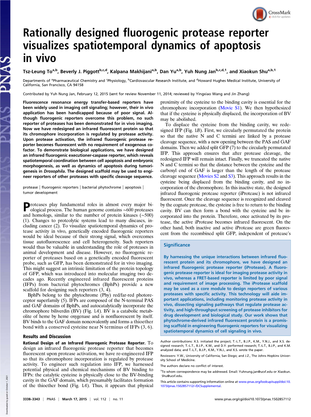 Rationally Designed Fluorogenic Protease Reporter Visualizes Spatiotemporal Dynamics of Apoptosis in Vivo