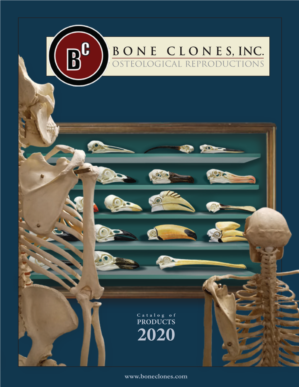 Boneclones, Inc