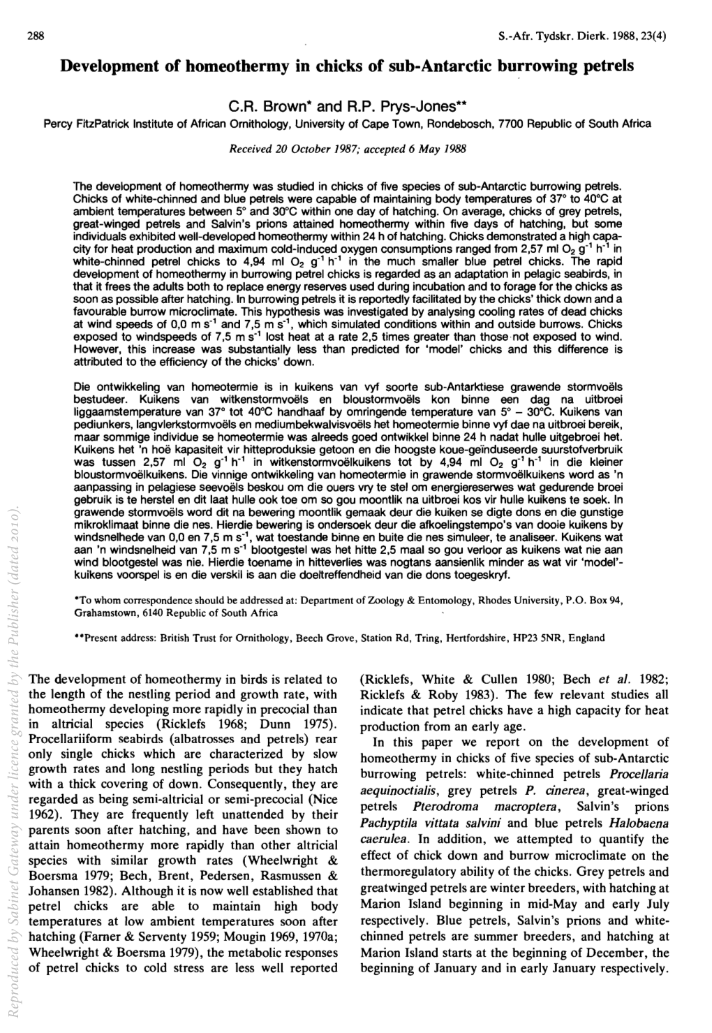 Development of Homeothermy in Chicks of Sub-Antarctic Burrowing Petrels