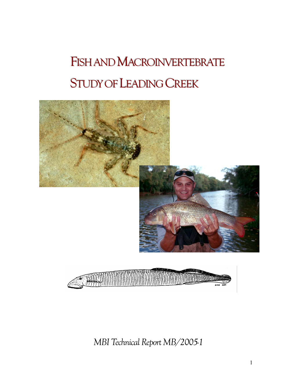 Fishand Macroinvertebrate Studyof Leading Creek