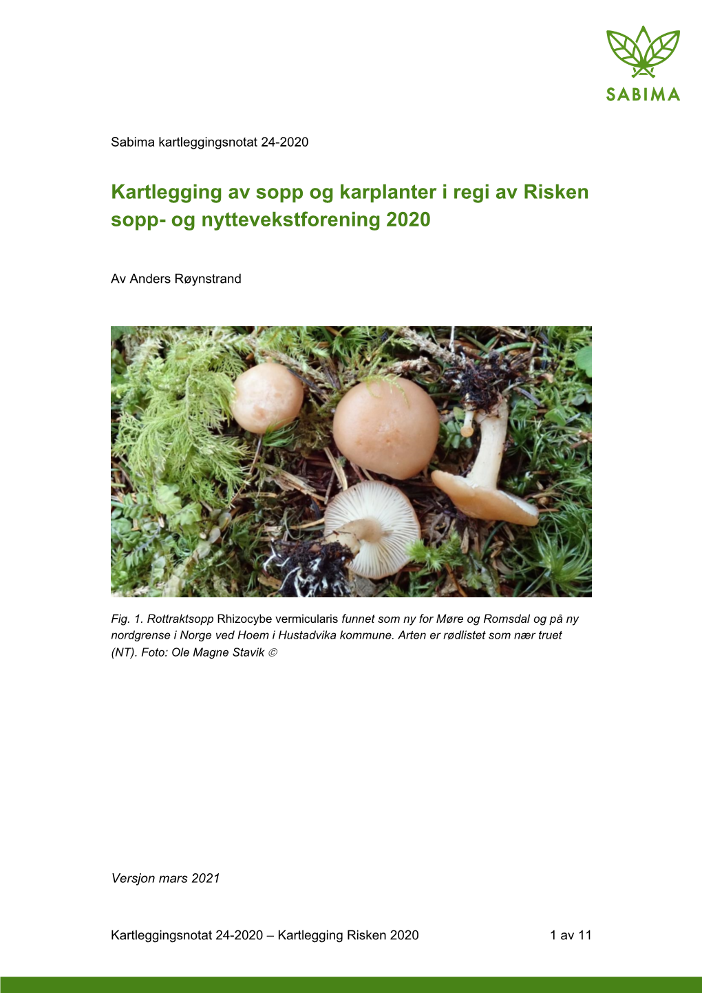 Kartleggingsrapport for Risken 2020