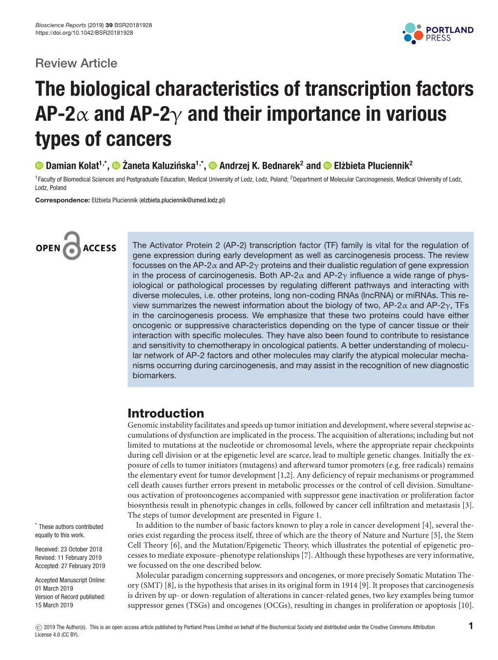 The Biological Characteristics of Transcription Factors AP-2Α and AP-2Γ and Their Importance in Various Types of Cancers