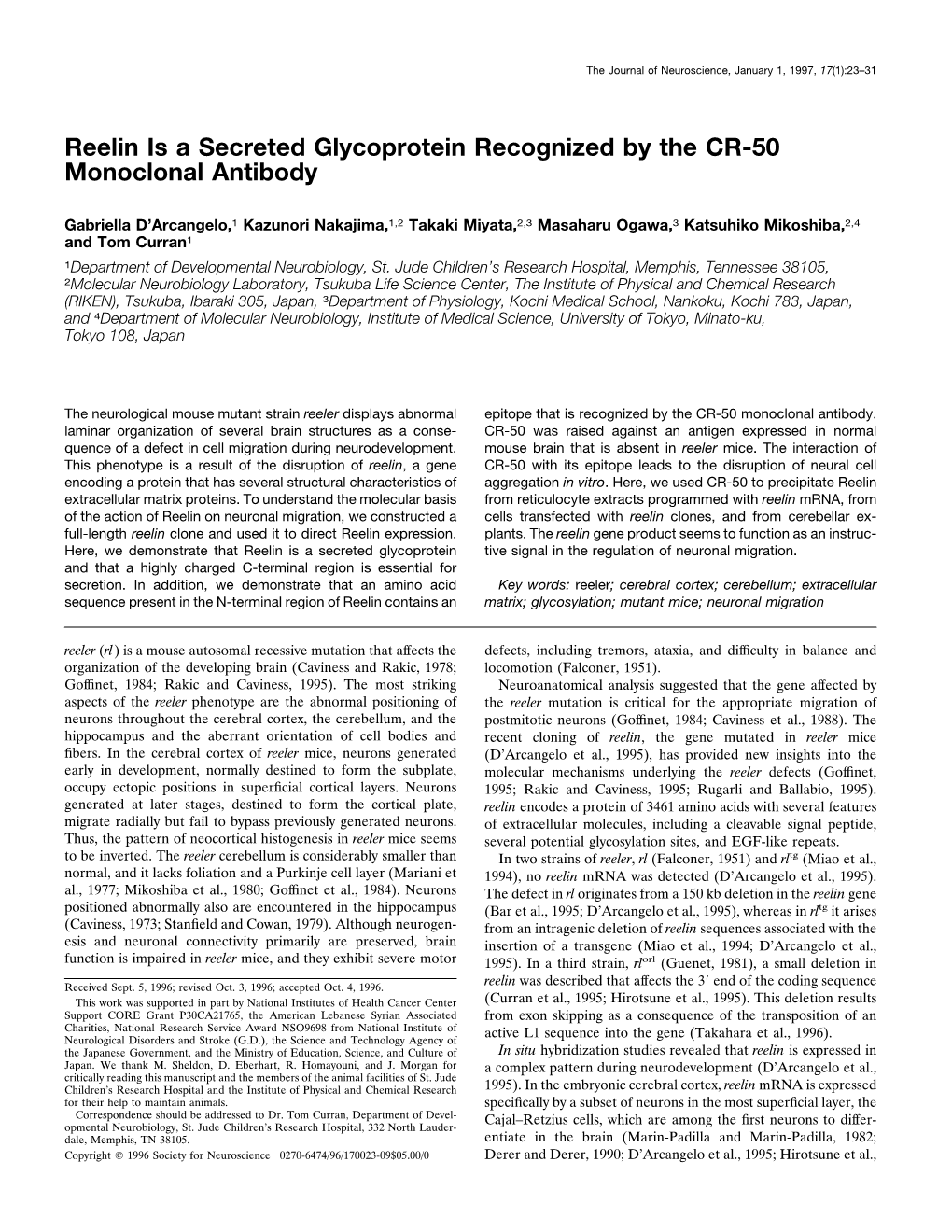 Reelin Is a Secreted Glycoprotein Recognized by the CR-50 Monoclonal Antibody