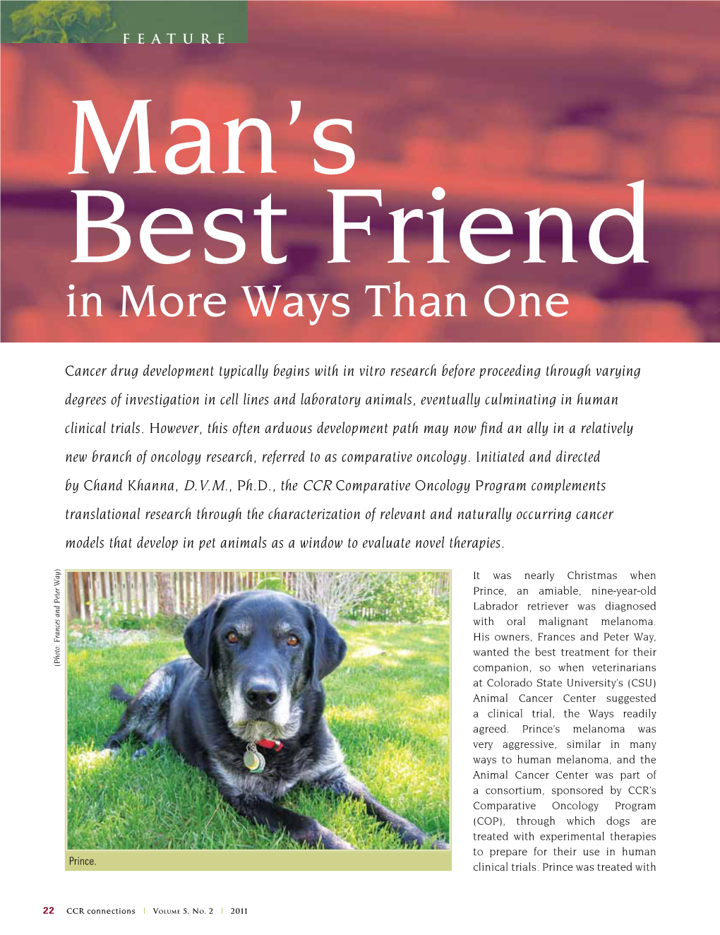 Man's Best Friend in More Ways Than