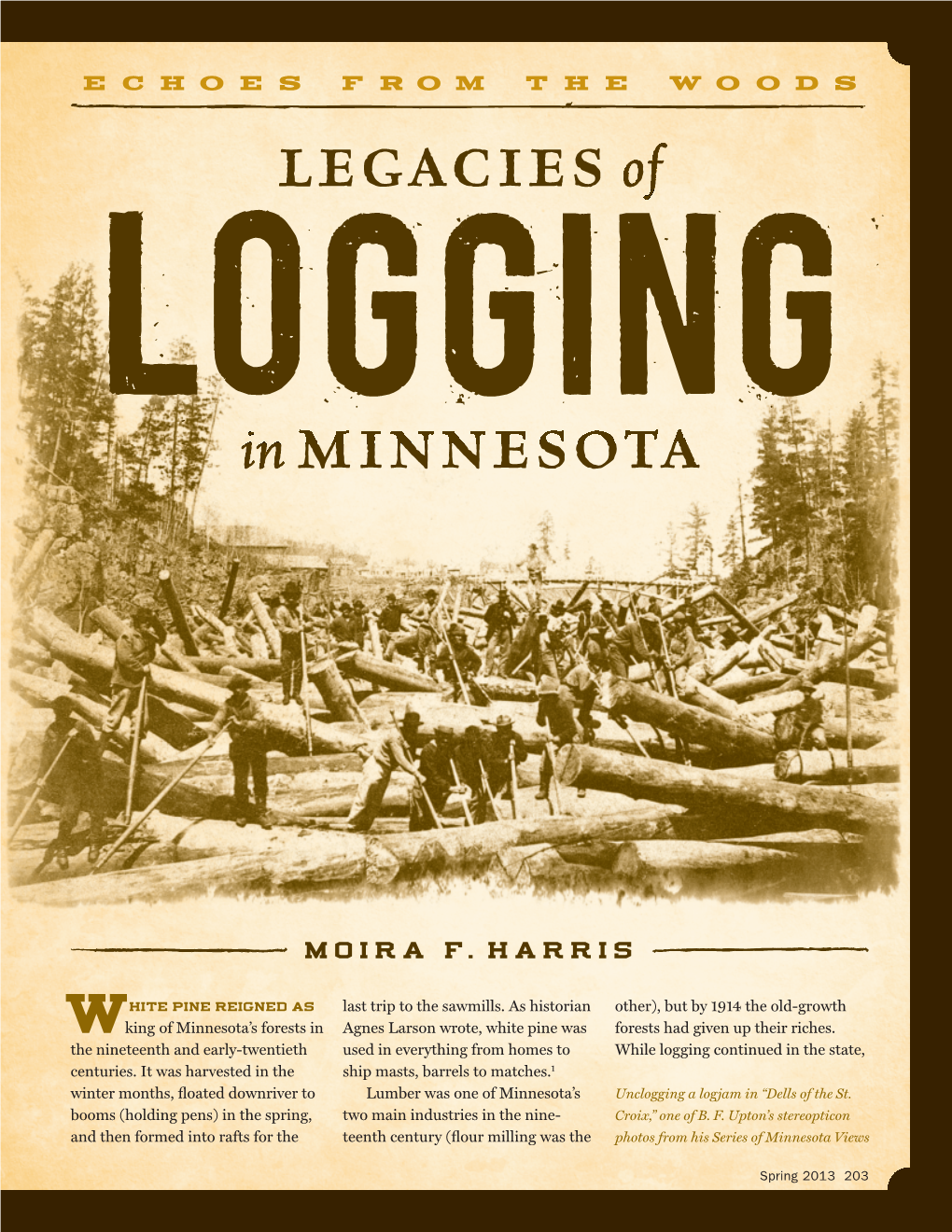 Legacies of Logging in Minnesota