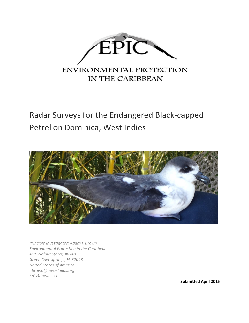 Radar Surveys for the Endangered Black-Capped Petrel on Dominica, West Indies