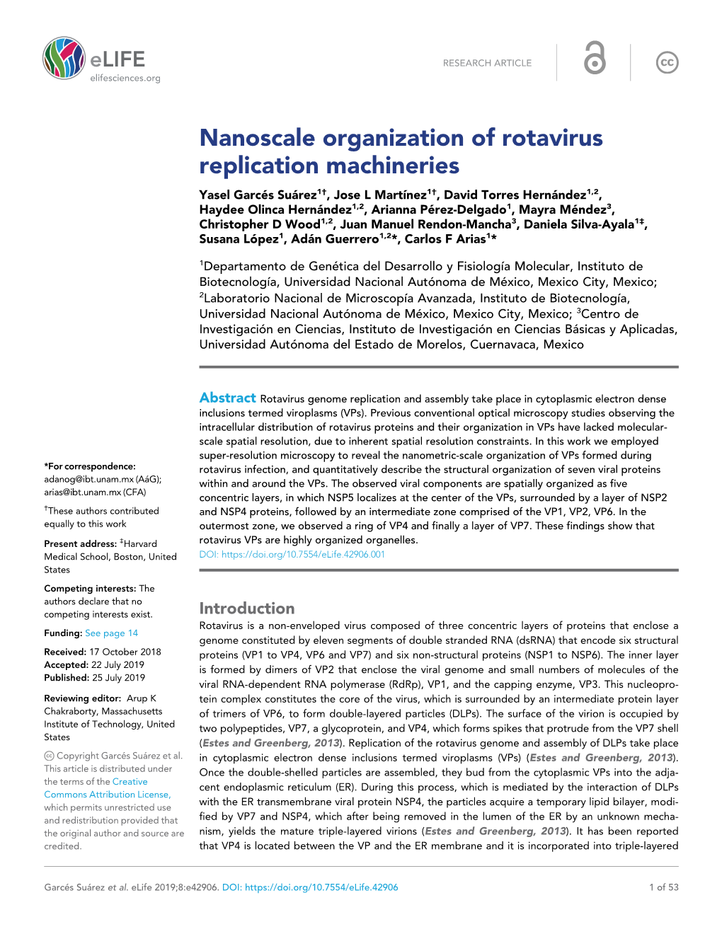 Nanoscale Organization of Rotavirus Replication Machineries