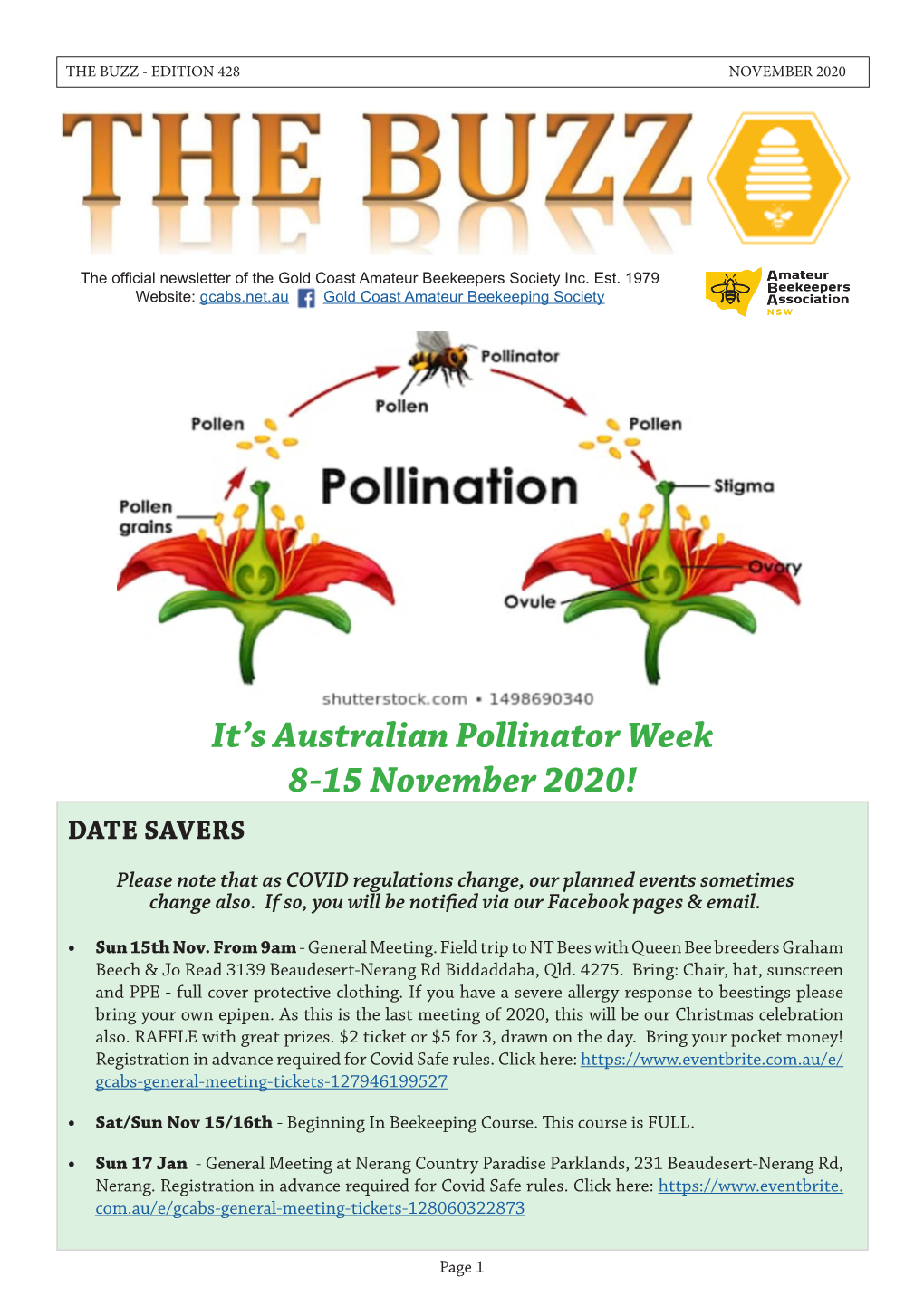 It's Australian Pollinator Week 8-15 November 2020!