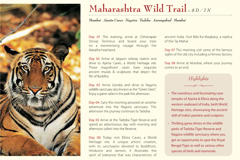 Maharashtra Wild Trail