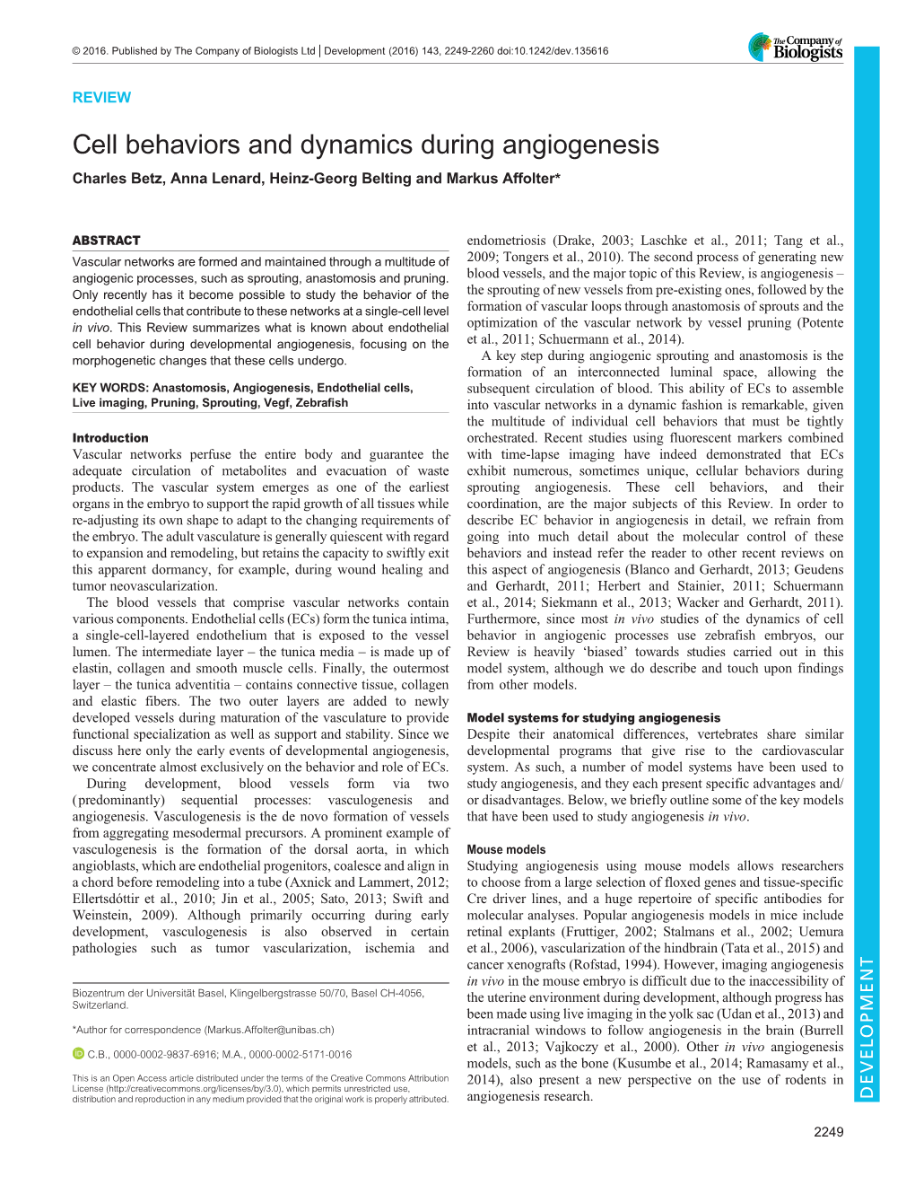 Cell Behaviors and Dynamics During Angiogenesis Charles Betz, Anna Lenard, Heinz-Georg Belting and Markus Affolter*