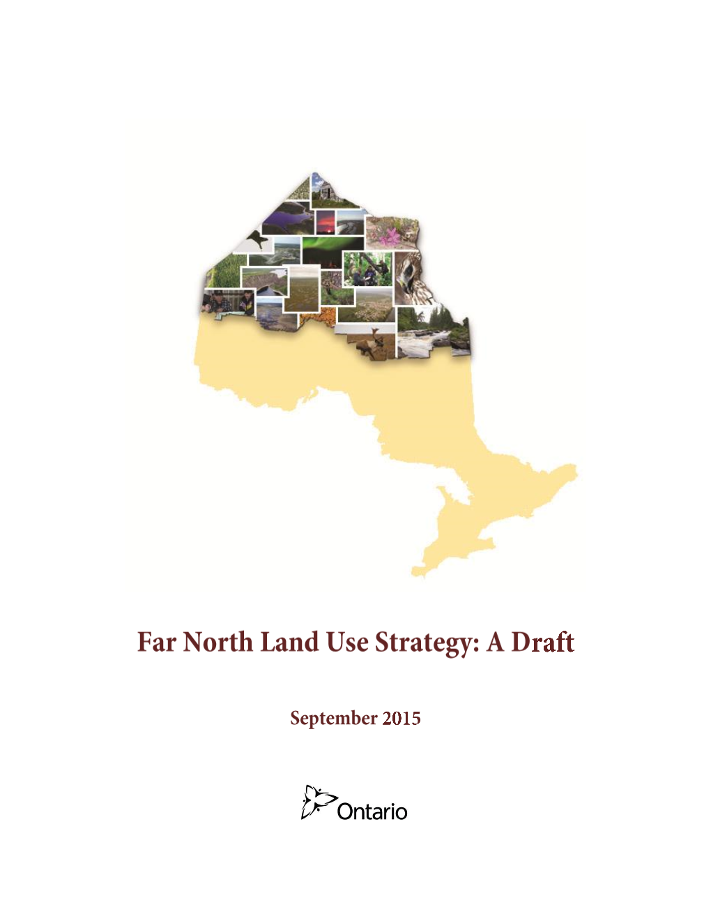 Far North Land Use Strategy: a Draft