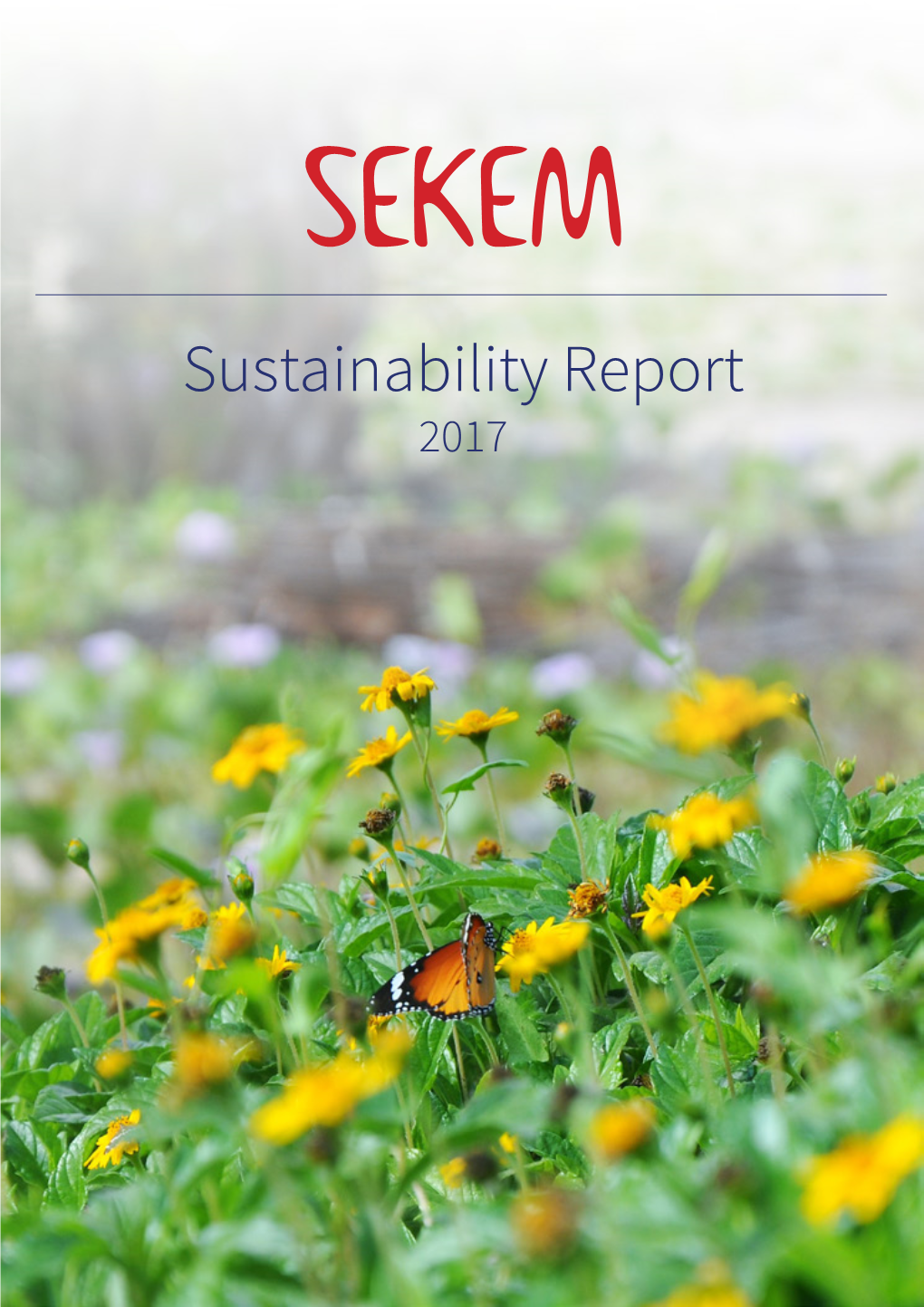 Read the SEKEM Sustainability Report 2017