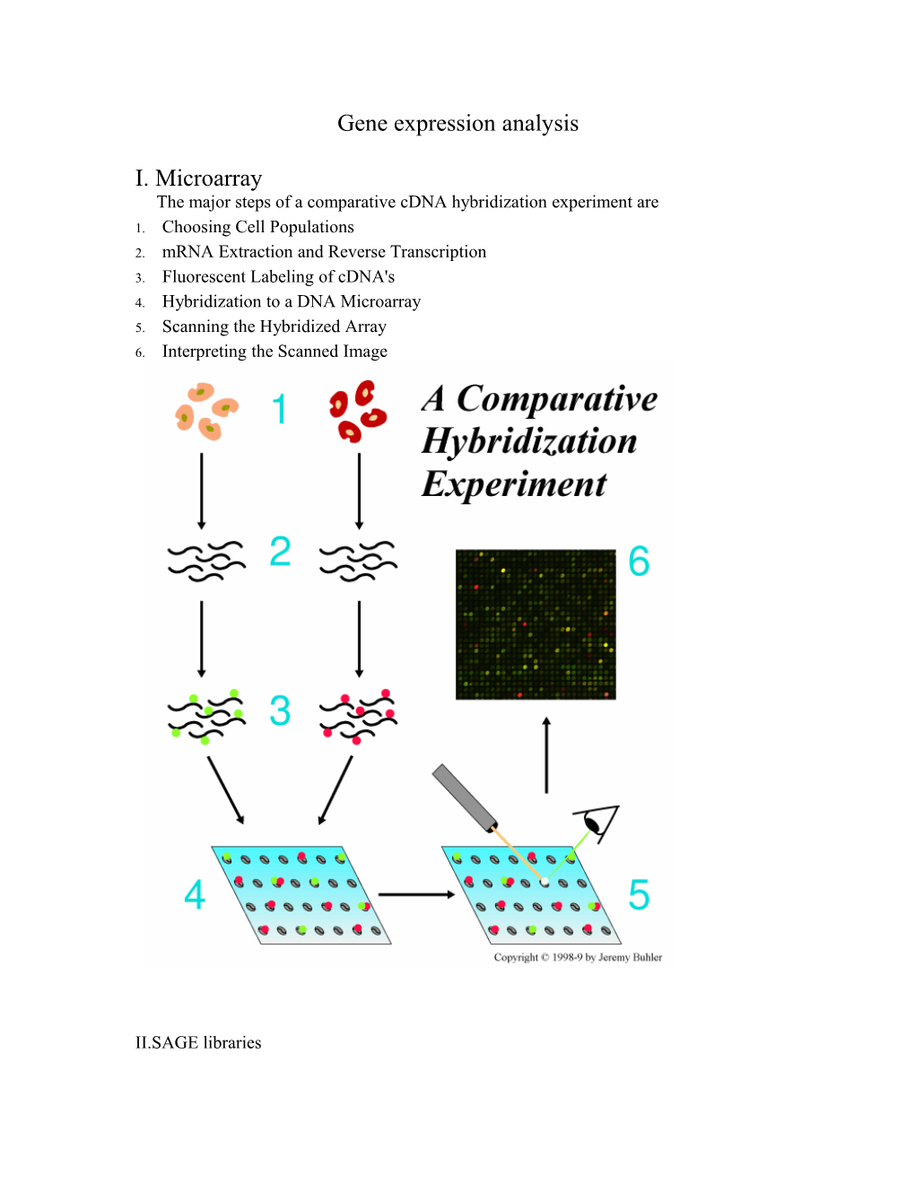 The Major Steps of a Comparative Cdna Hybridization Experiment Are