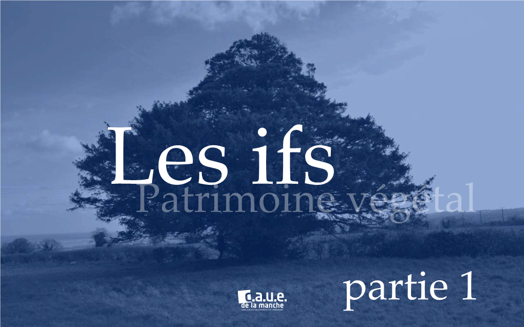 Ifs, Patrimoine Végétal