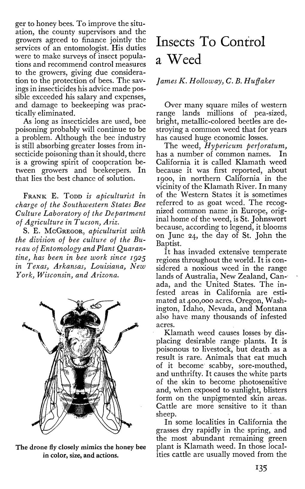 Insects to Control a Weed Larvae in Roots