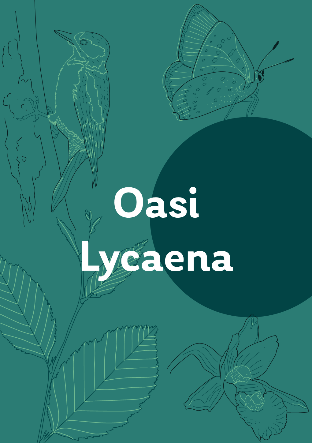 Oasi Lycaena L’Oasi Lycaena (Proprietà Della Città Metropolitana Di Venezia)