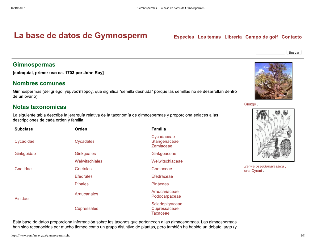 Gimnospermas - La Base De Datos De Gimnospermas