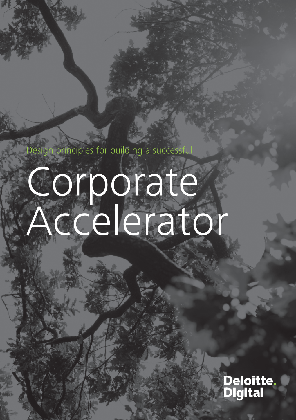 Corporate Accelerator Design Principles for Building a Successful Corporate Accelerator