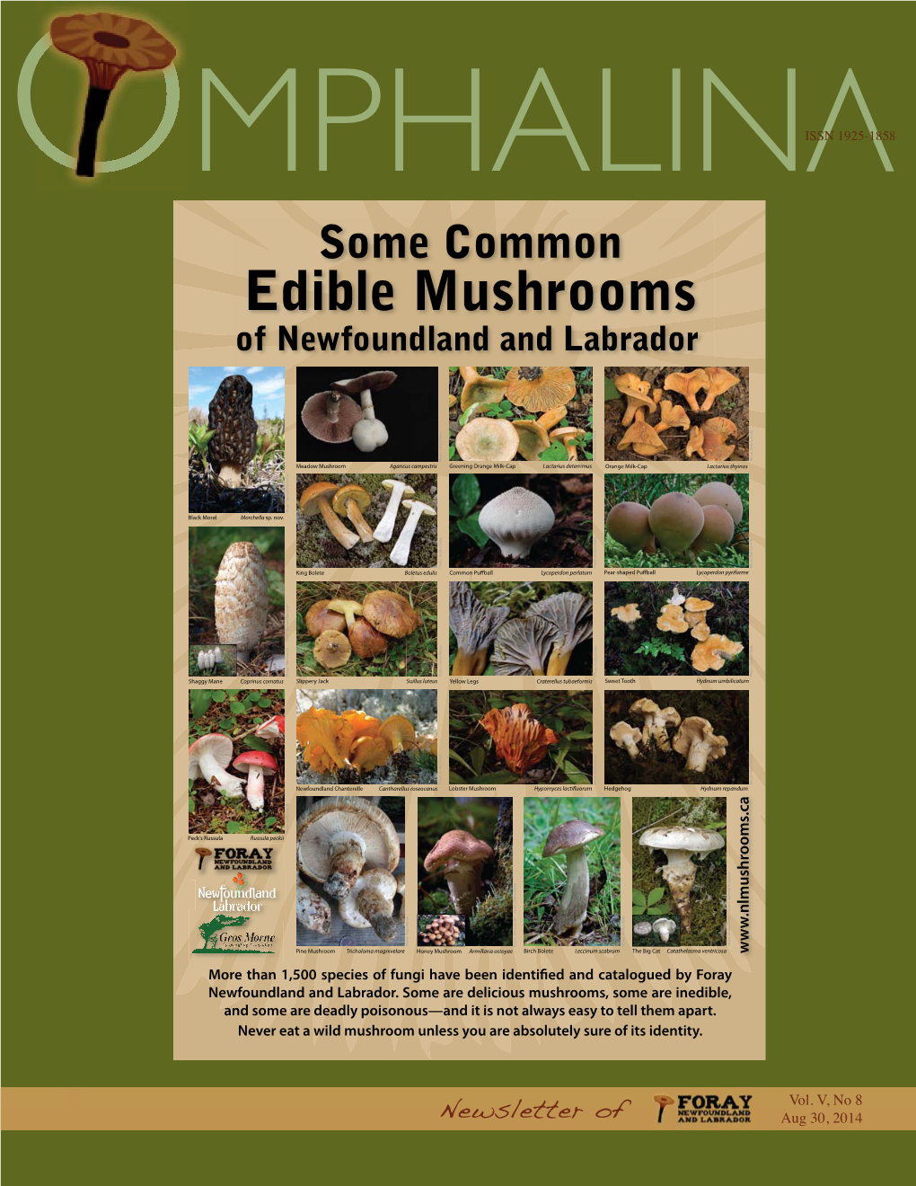 Edible Mushrooms