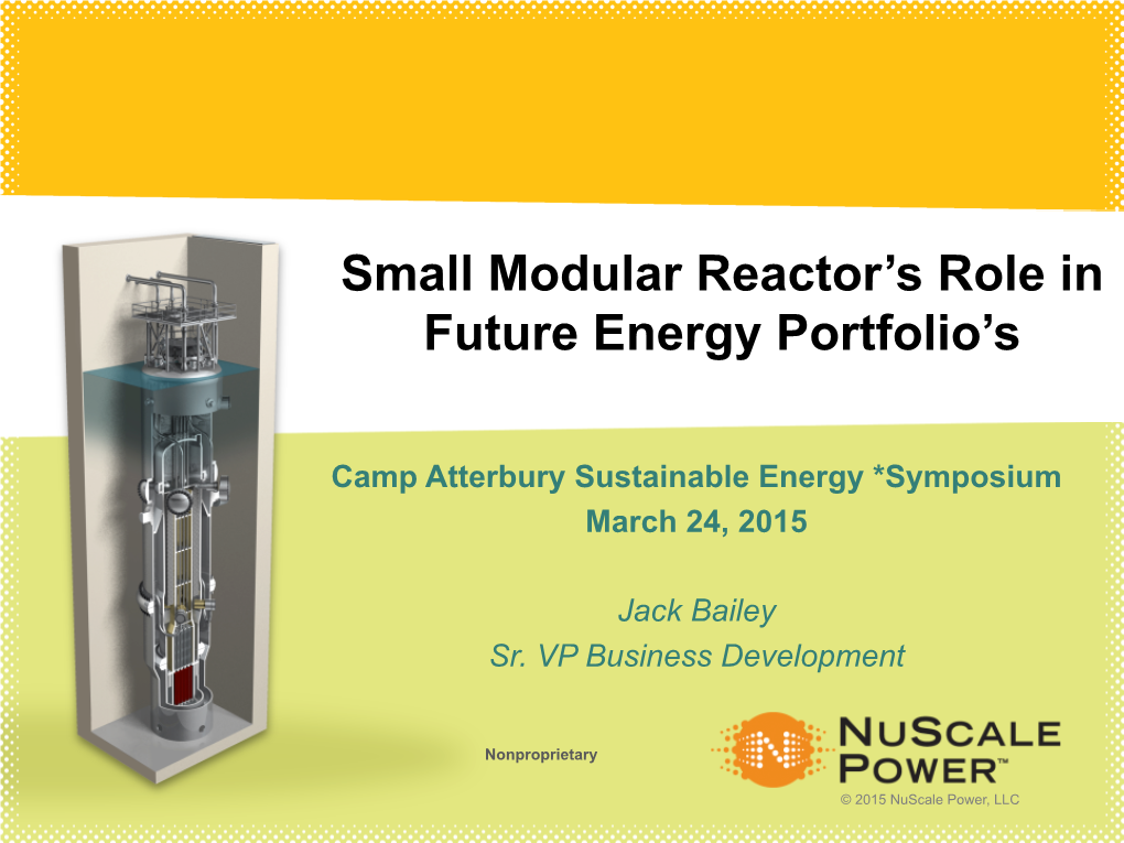 Small Modular Reactor's Role in Future Energy Portfolio's