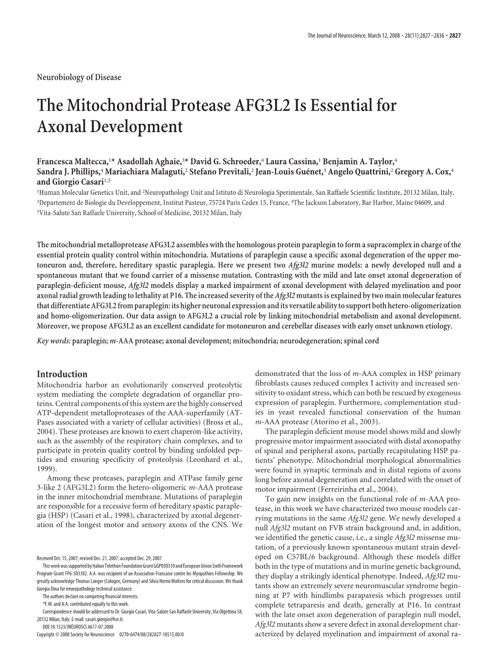 The Mitochondrial Protease AFG3L2 Is Essential for Axonal Development
