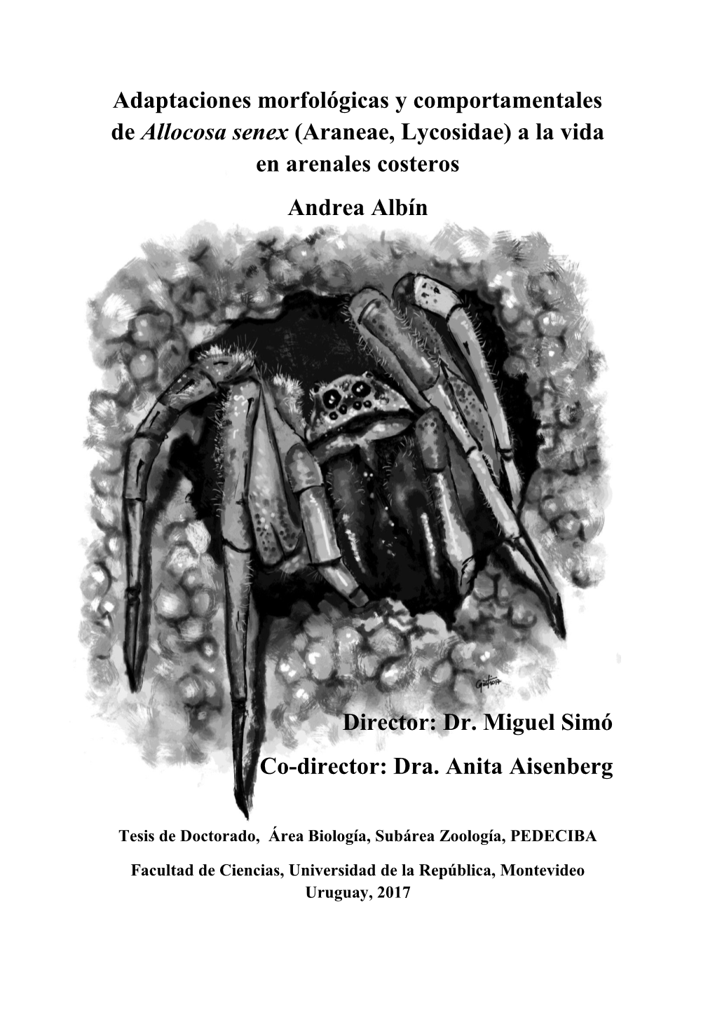 Adaptaciones Morfológicas Y Comportamentales De Allocosa Senex (Araneae, Lycosidae) a La Vida En Arenales Costeros