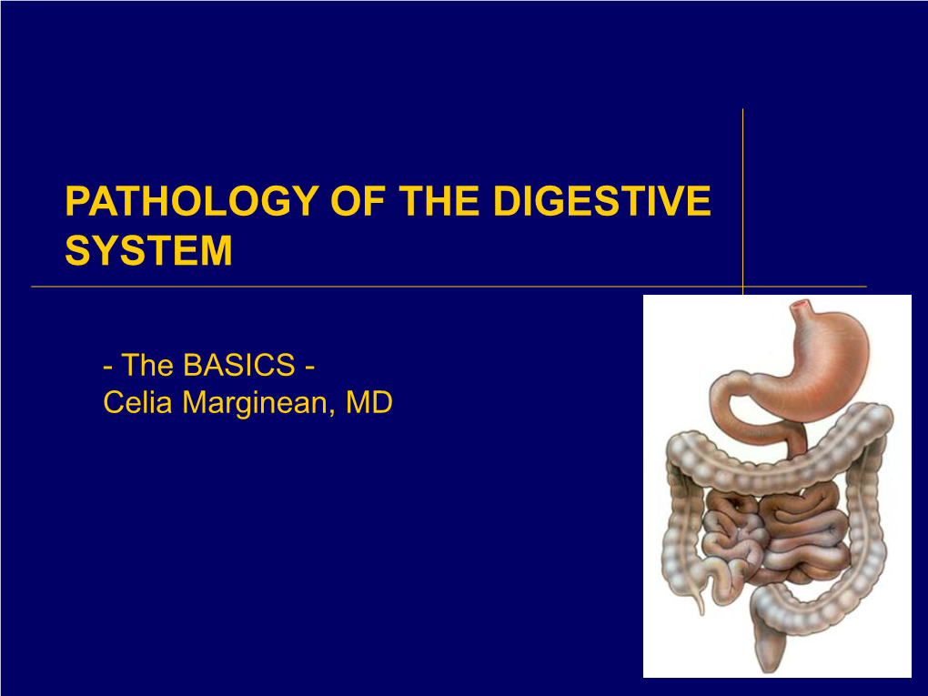 Upper Gi Tract