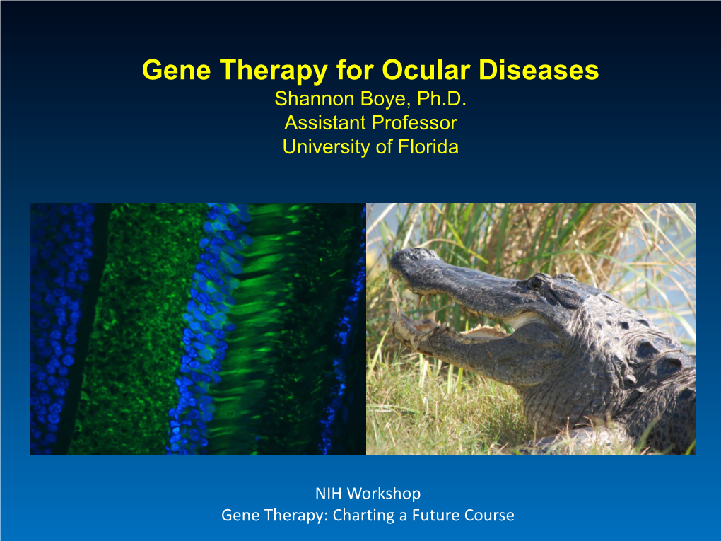 Gene Therapy for Ocular Diseases Shannon Boye, Ph.D