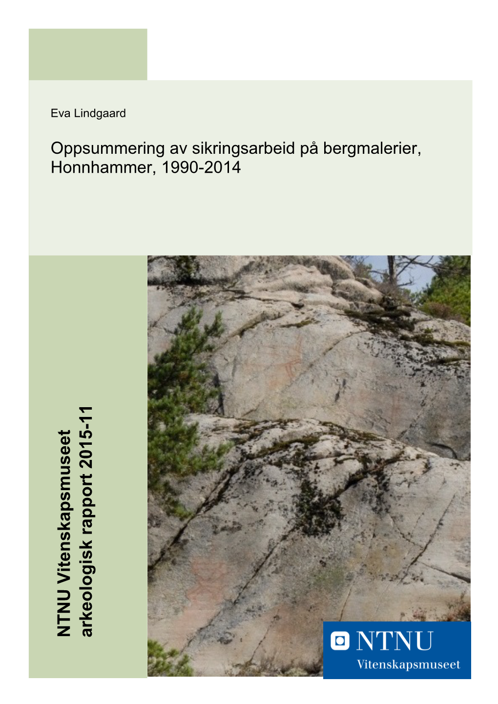 Oppsummering Av Sikringsarbeid På Bergmalerier, Honnhammer, 1990-2014
