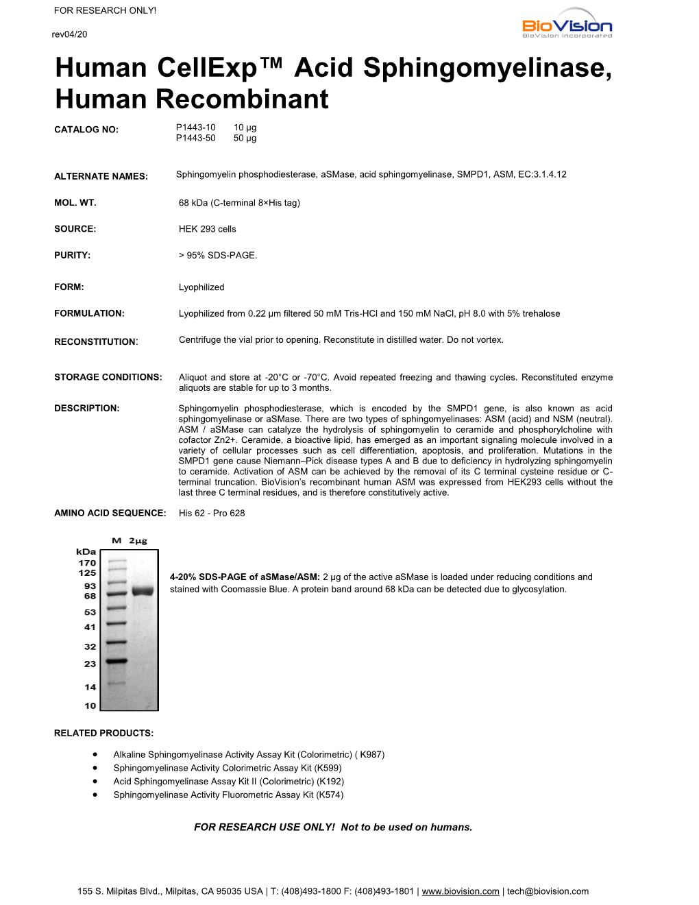 Human Cellexp™ Acid Sphingomyelinase, Human