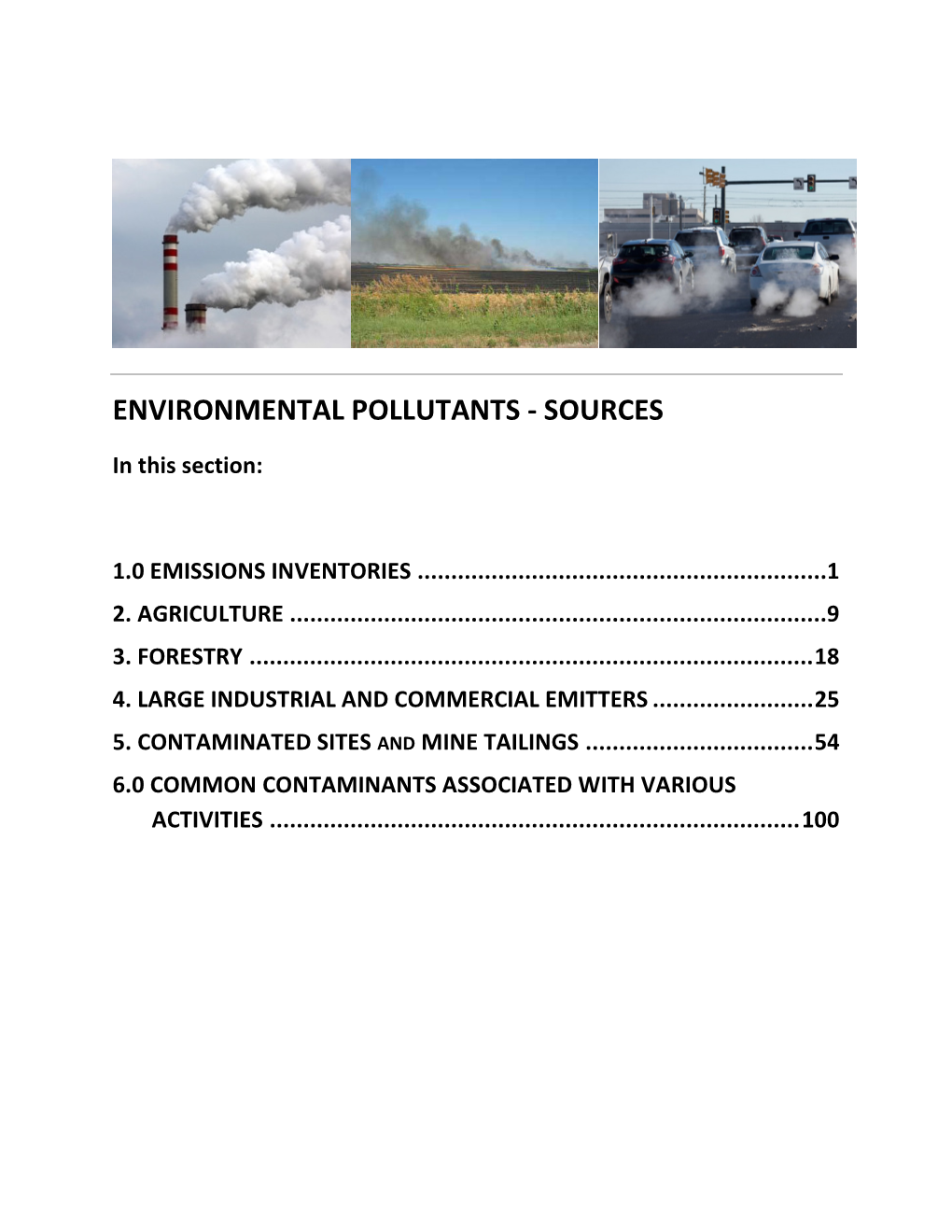 Environmental Pollutants - Sources