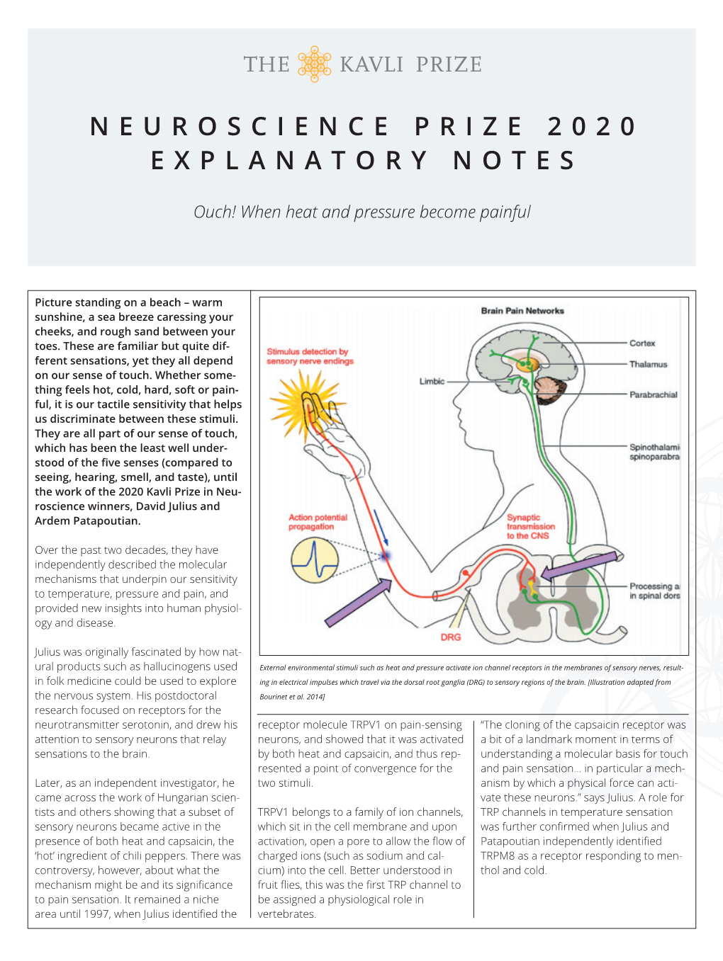 Neuroscience Prize 2020 Explanatory Notes