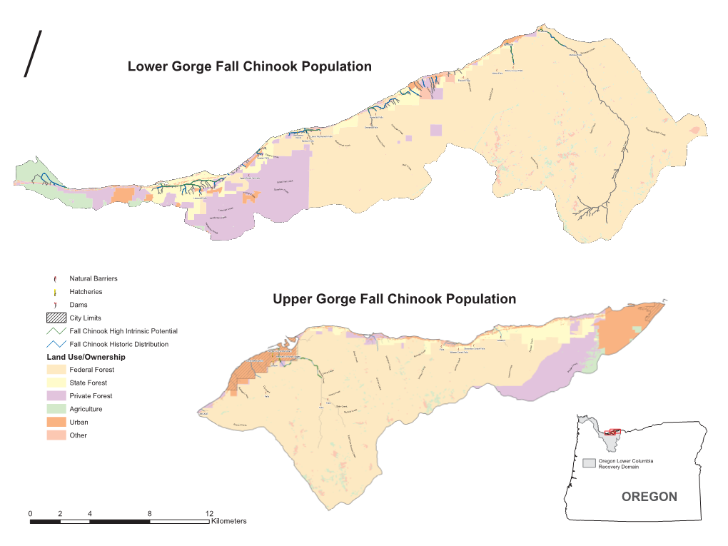 Lower and Upper Gorge Fall Chinook Population Maps