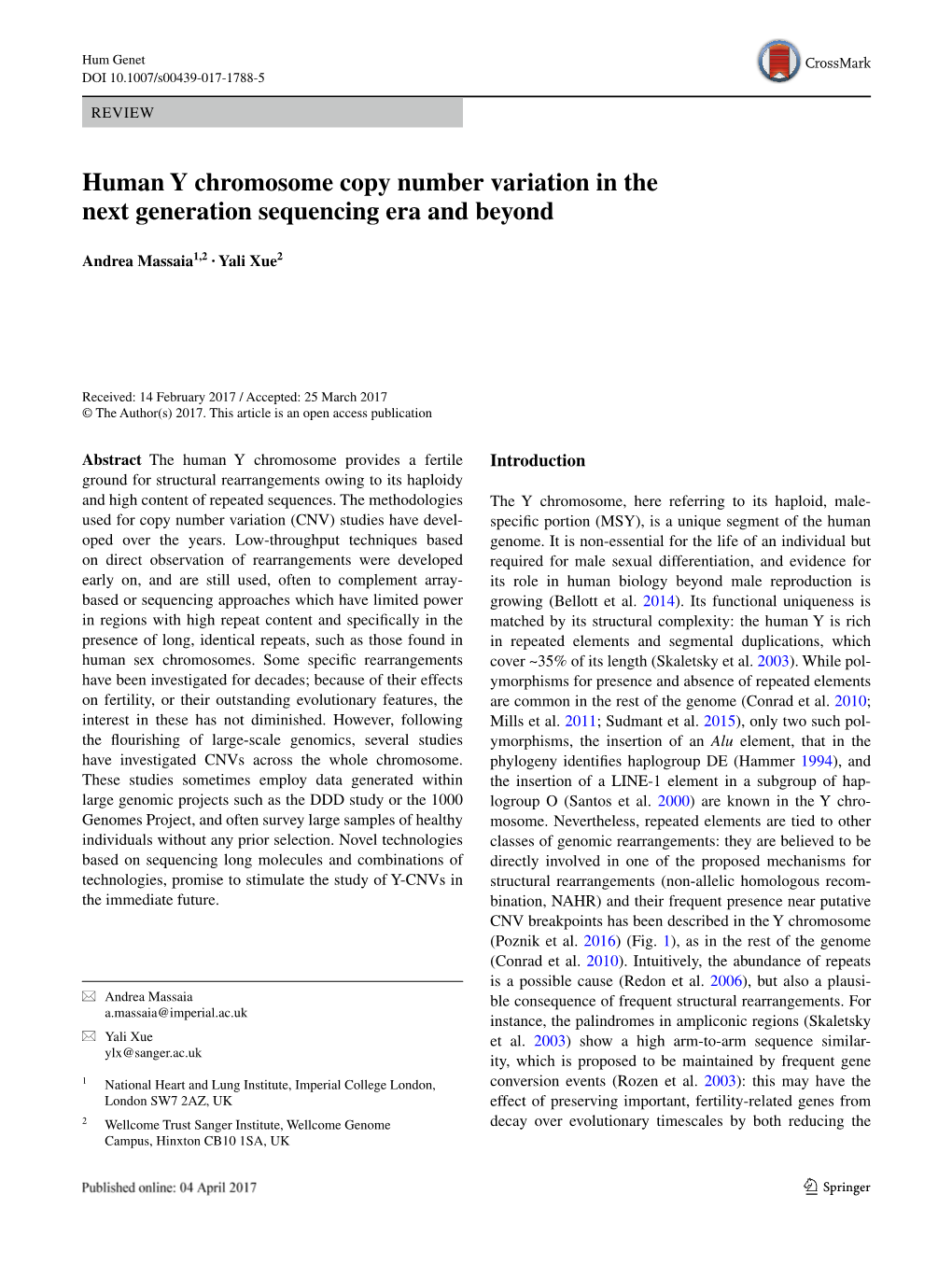 Human Y Chromosome Copy Number Variation in the Next Generation Sequencing Era and Beyond